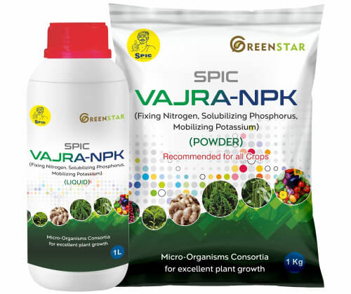 SPIC Vajra-NPK